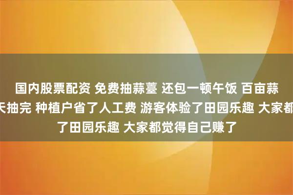 国内股票配资 免费抽蒜薹 还包一顿午饭 百亩蒜薹被近千人2天抽完 种植户省了人工费 游客体验了田园乐趣 大家都觉得自己赚了